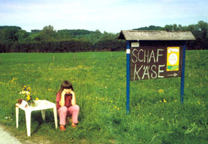schafkaese